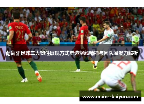 葡萄牙足球三大韧性展现方式塑造坚毅精神与团队凝聚力解析